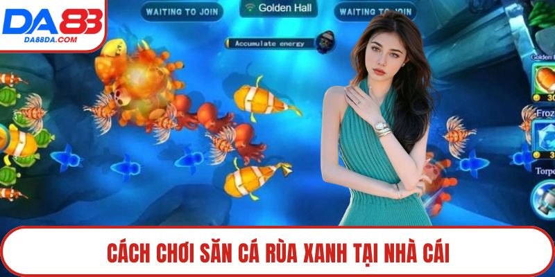 Cách chơi săn cá rùa xanh tại nhà cái